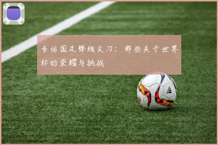 专访国足锋线尖刀:那些关于世界杯的荣耀与挑战