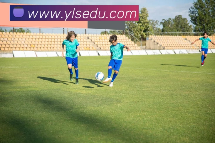 App Interface Preview