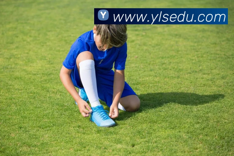 九游官网个人登录入口网页APP 封面图